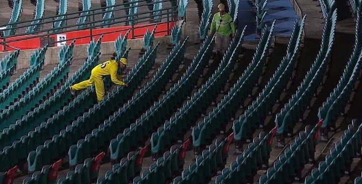 One of the many weird photos that went viral after the Sydney ODI